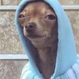 nate.richards1 on One Bite Pizza App