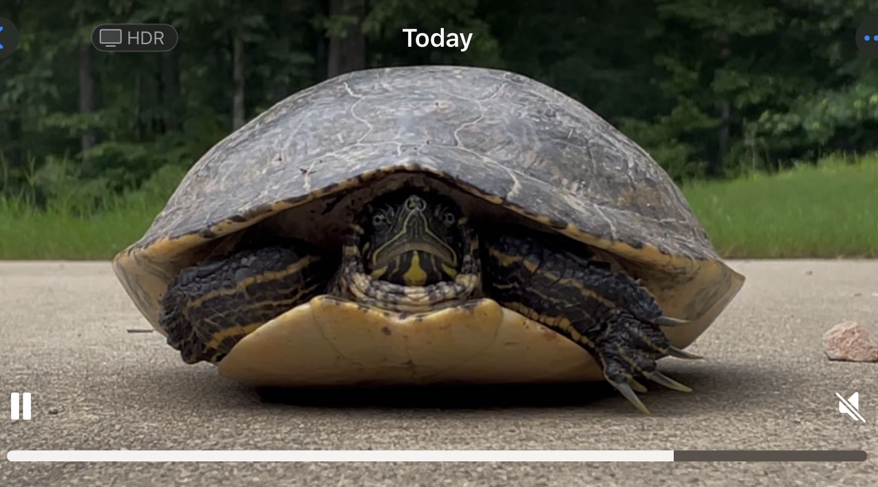 dave.e3 on One Bite Pizza App