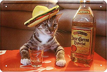 andres.oliva lourenco on One Bite Pizza App