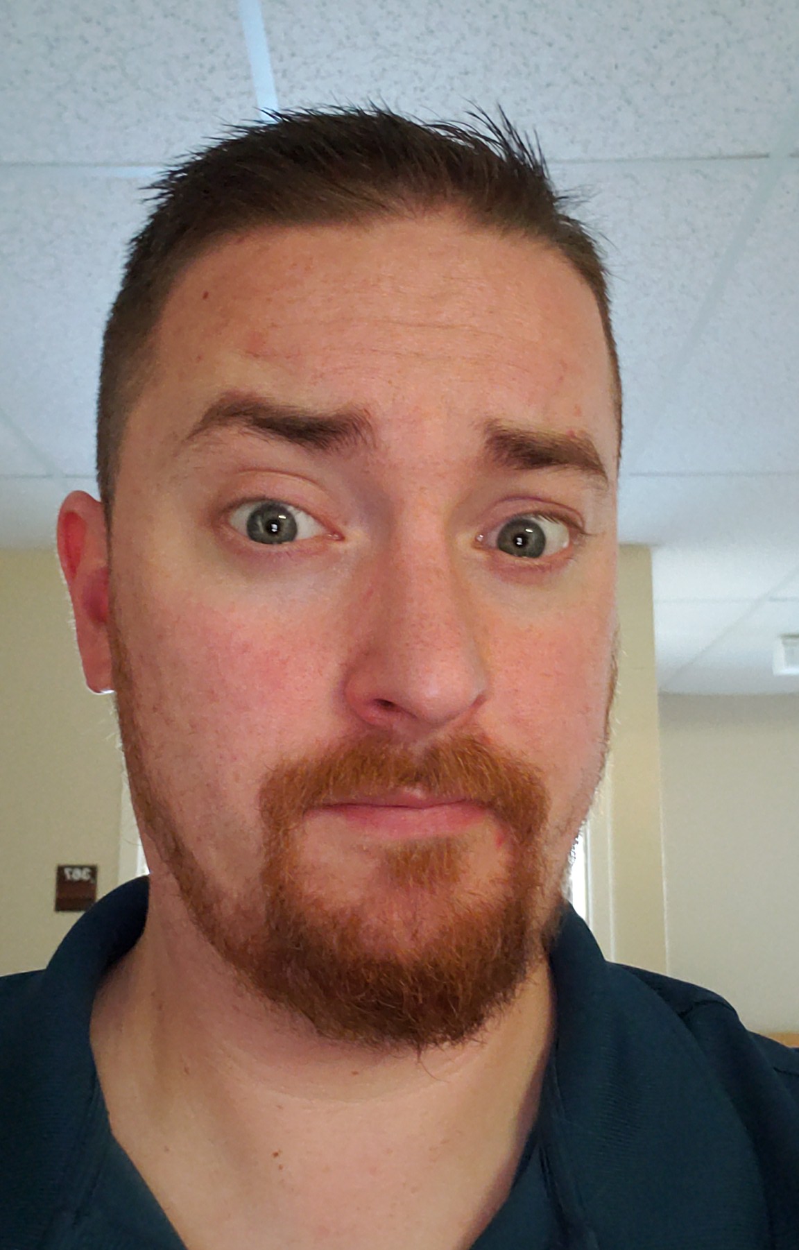 richard.avery on One Bite Pizza App