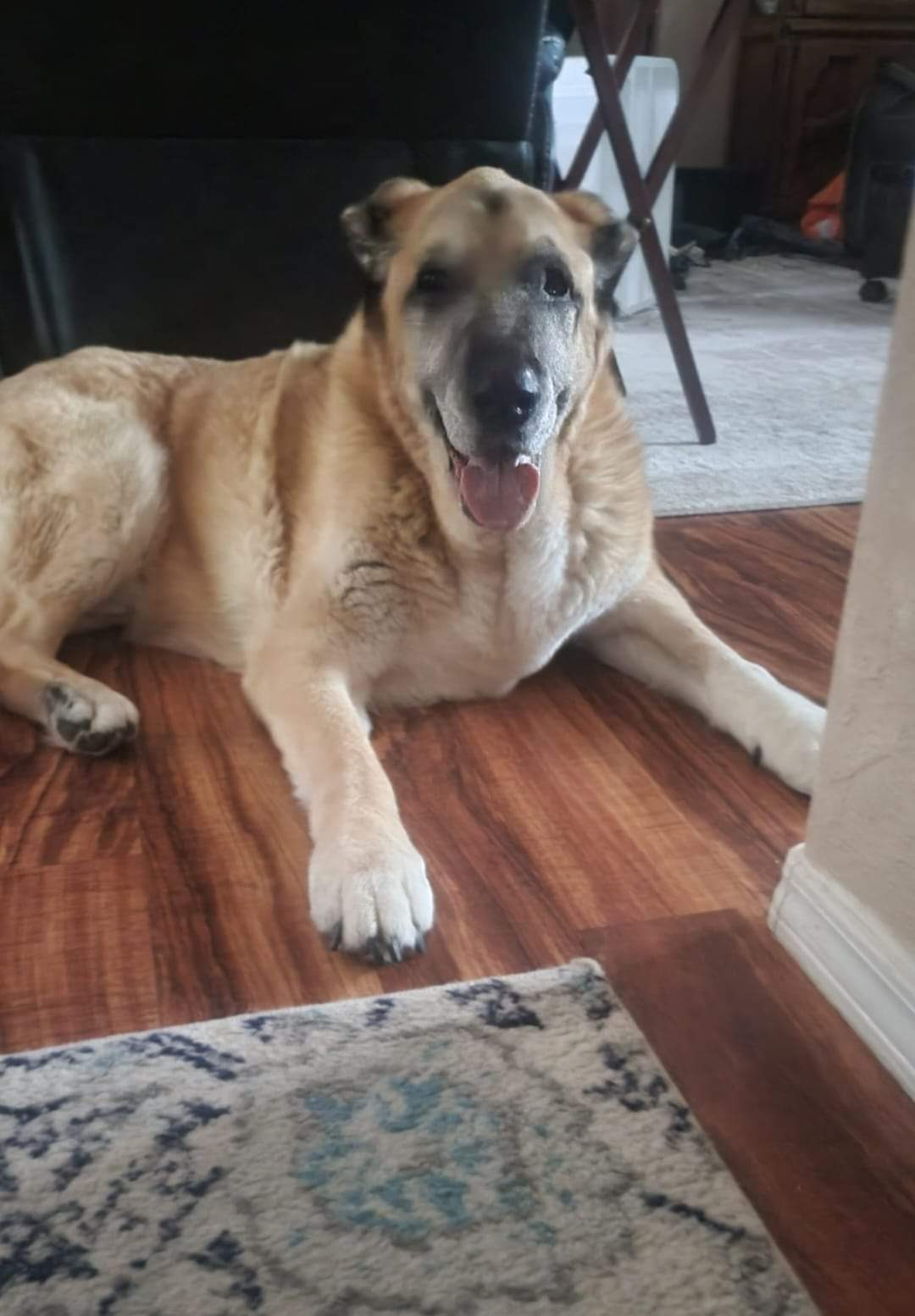 scott.leaf on One Bite Pizza App