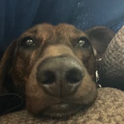 ragin_azn on One Bite Pizza App