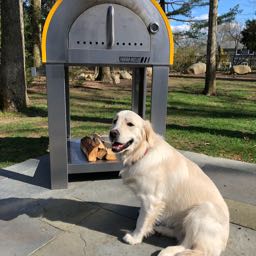 john.giovacco on One Bite Pizza App