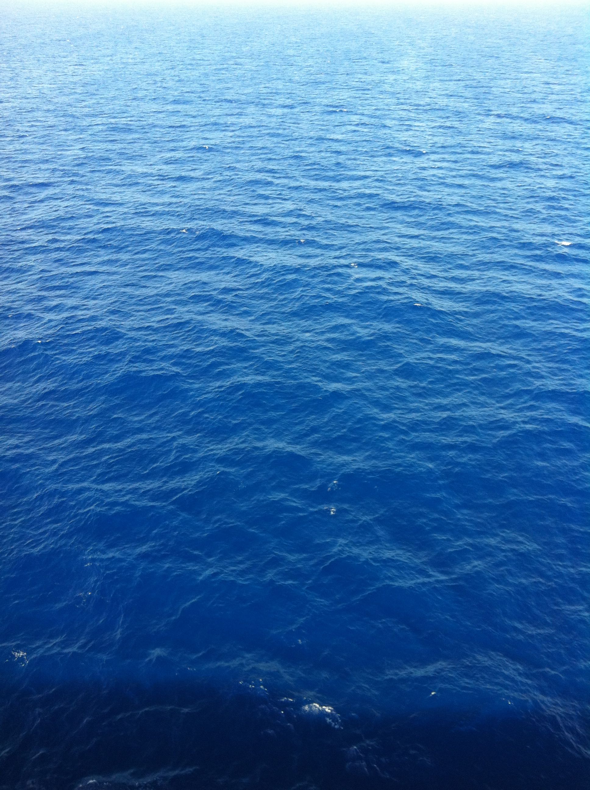 deletethisaccount on One Bite Pizza App