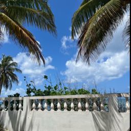 cade.brockington on One Bite Pizza App