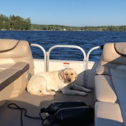 myjohnson on One Bite Pizza App