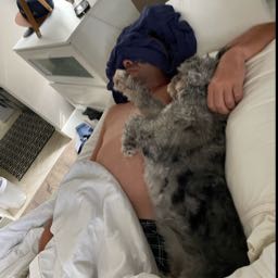 rich.merritt on One Bite Pizza App