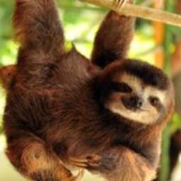 ron.becker on One Bite Pizza App