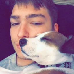 bailey.case on One Bite Pizza App