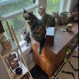 aaron.samson on One Bite Pizza App