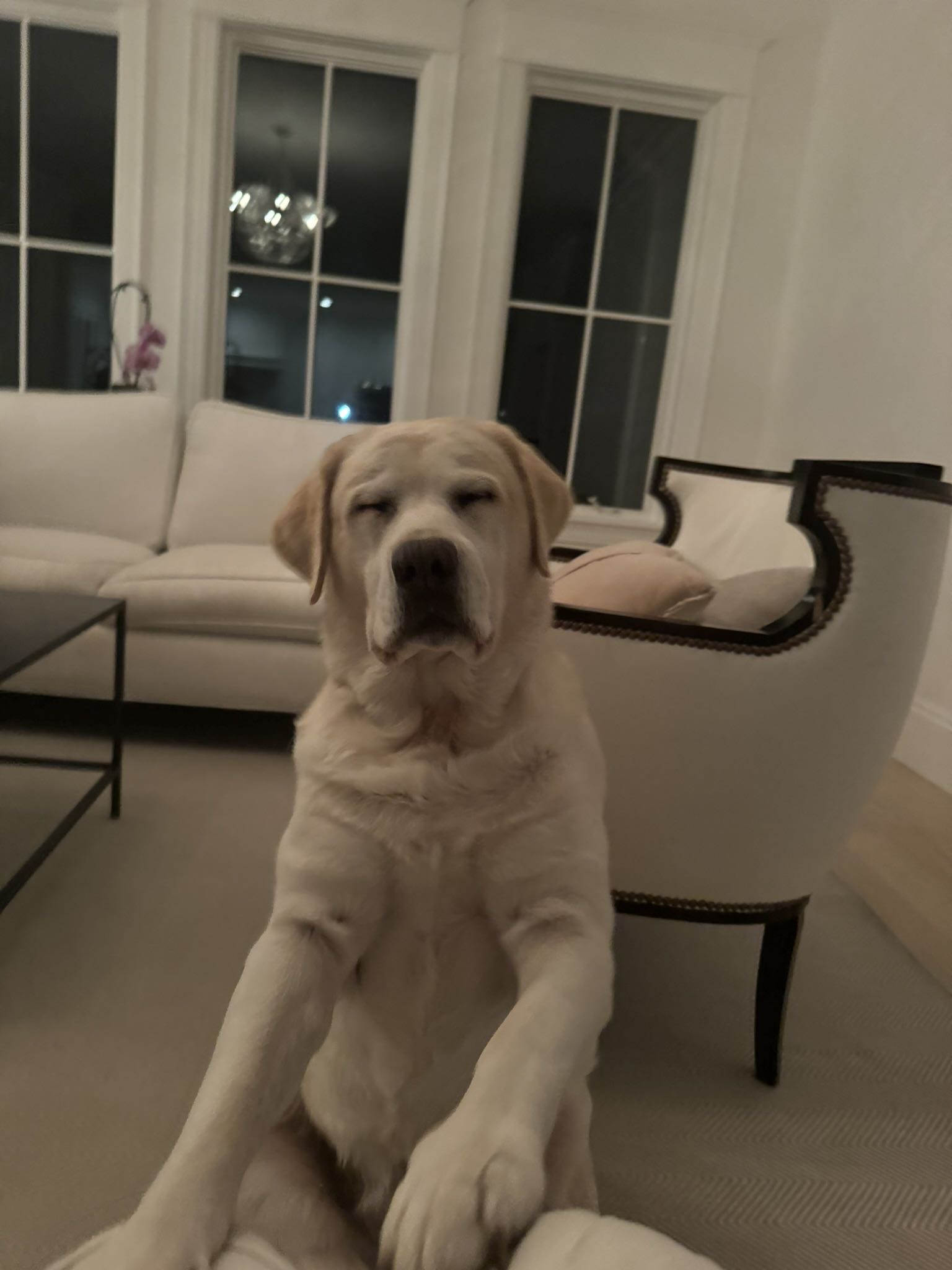 avaday on One Bite Pizza App