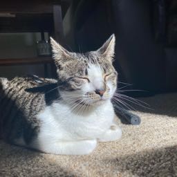 jordan.trevino on One Bite Pizza App