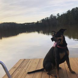 rj.giammarinaro on One Bite Pizza App