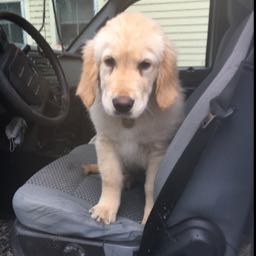 zach77 on One Bite Pizza App