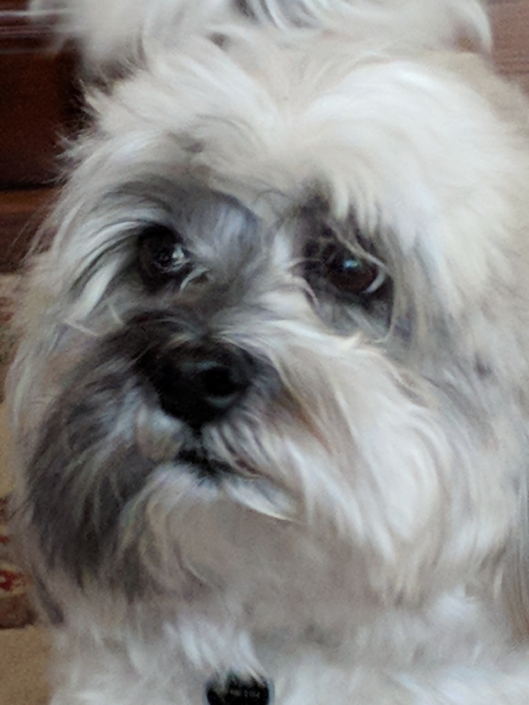 logan.lucas2 on One Bite Pizza App