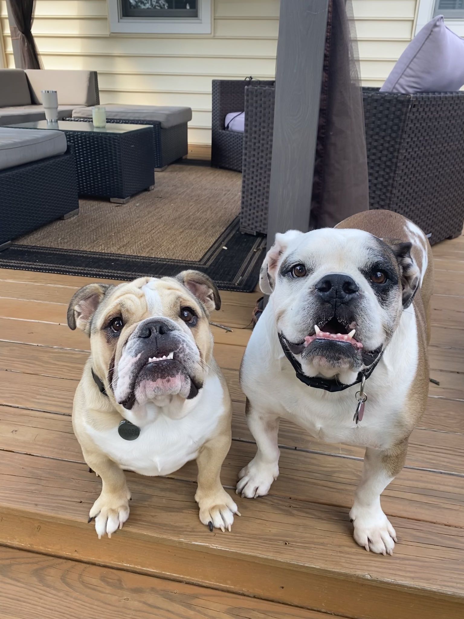 ryan.upton1 on One Bite Pizza App