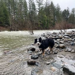 skjs-woodinville on One Bite Pizza App