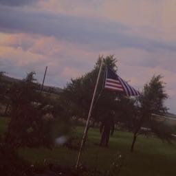 wolf1426 on One Bite Pizza App