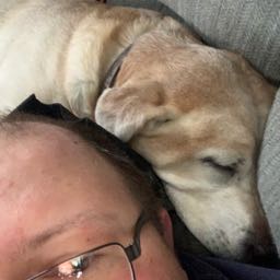 thomas.o’quinn on One Bite Pizza App