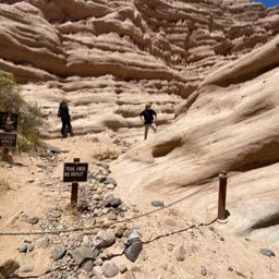 fortunateson on One Bite Pizza App