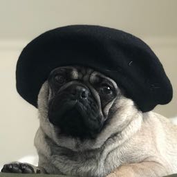 gg.allin on One Bite Pizza App