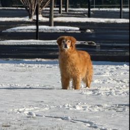 cole.rosenthal on One Bite Pizza App