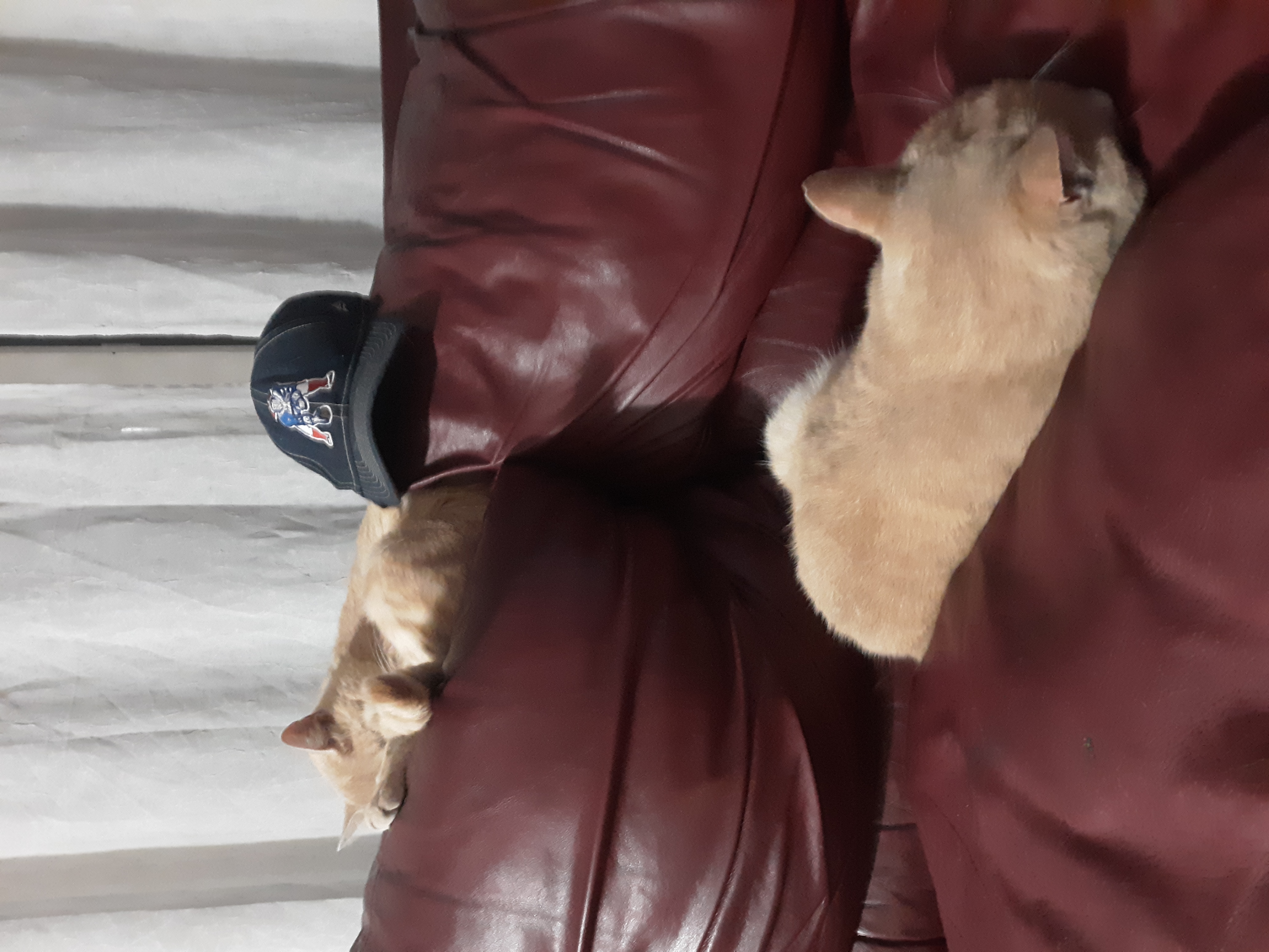 phil.rowinski on One Bite Pizza App