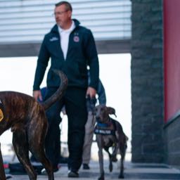 greg.higginbotham on One Bite Pizza App