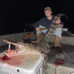 paul.gordon5 on One Bite Pizza App