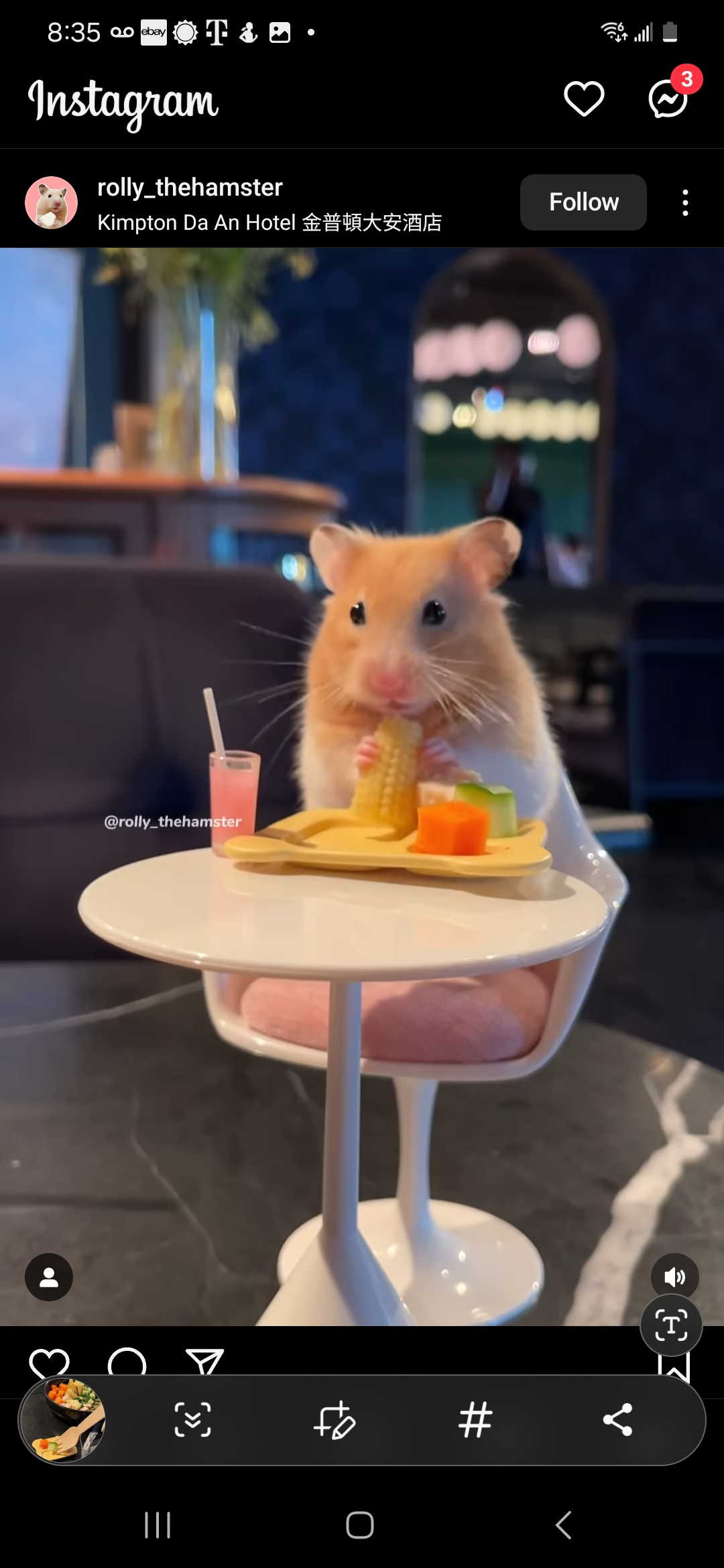 h.c10 on One Bite Pizza App