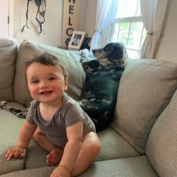 hugh.dailey on One Bite Pizza App