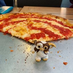 gizmo.goes on One Bite Pizza App
