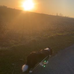 pizzaxxpizza on One Bite Pizza App