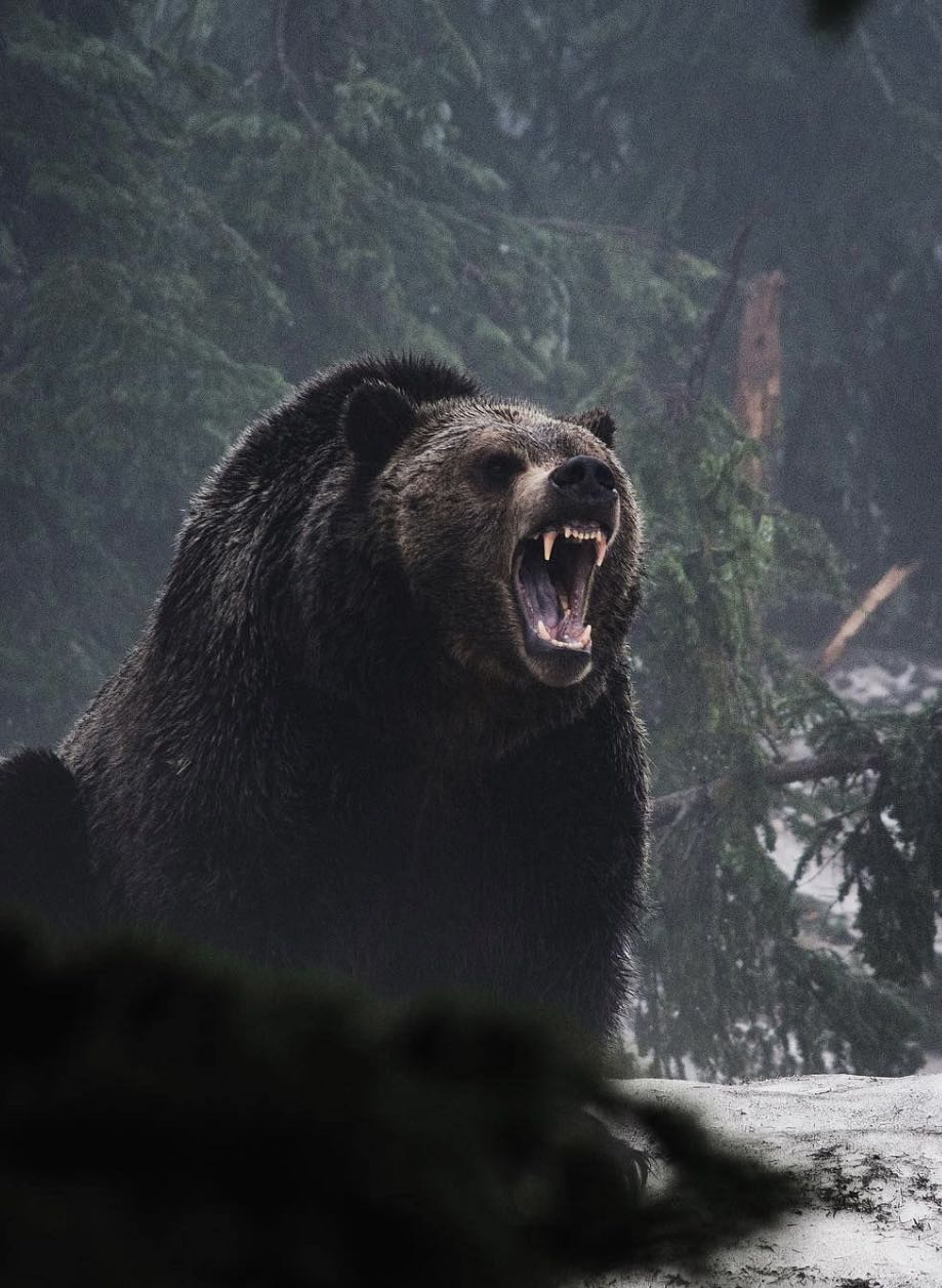 ya.boi.josh on One Bite Pizza App