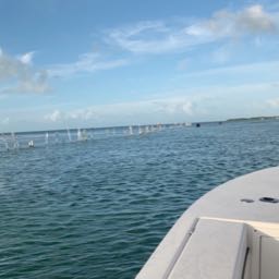 carson.mcarthur on One Bite Pizza App