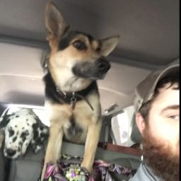 donnie.duck on One Bite Pizza App