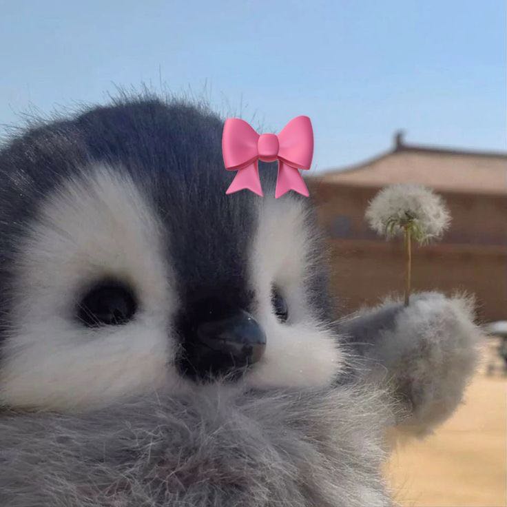 luvalyah on One Bite Pizza App