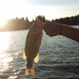 baylor.hahn on One Bite Pizza App