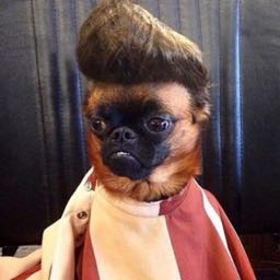 gary.fong on One Bite Pizza App