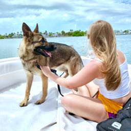 anarchy on One Bite Pizza App