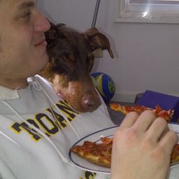 josue.caraballo on One Bite Pizza App