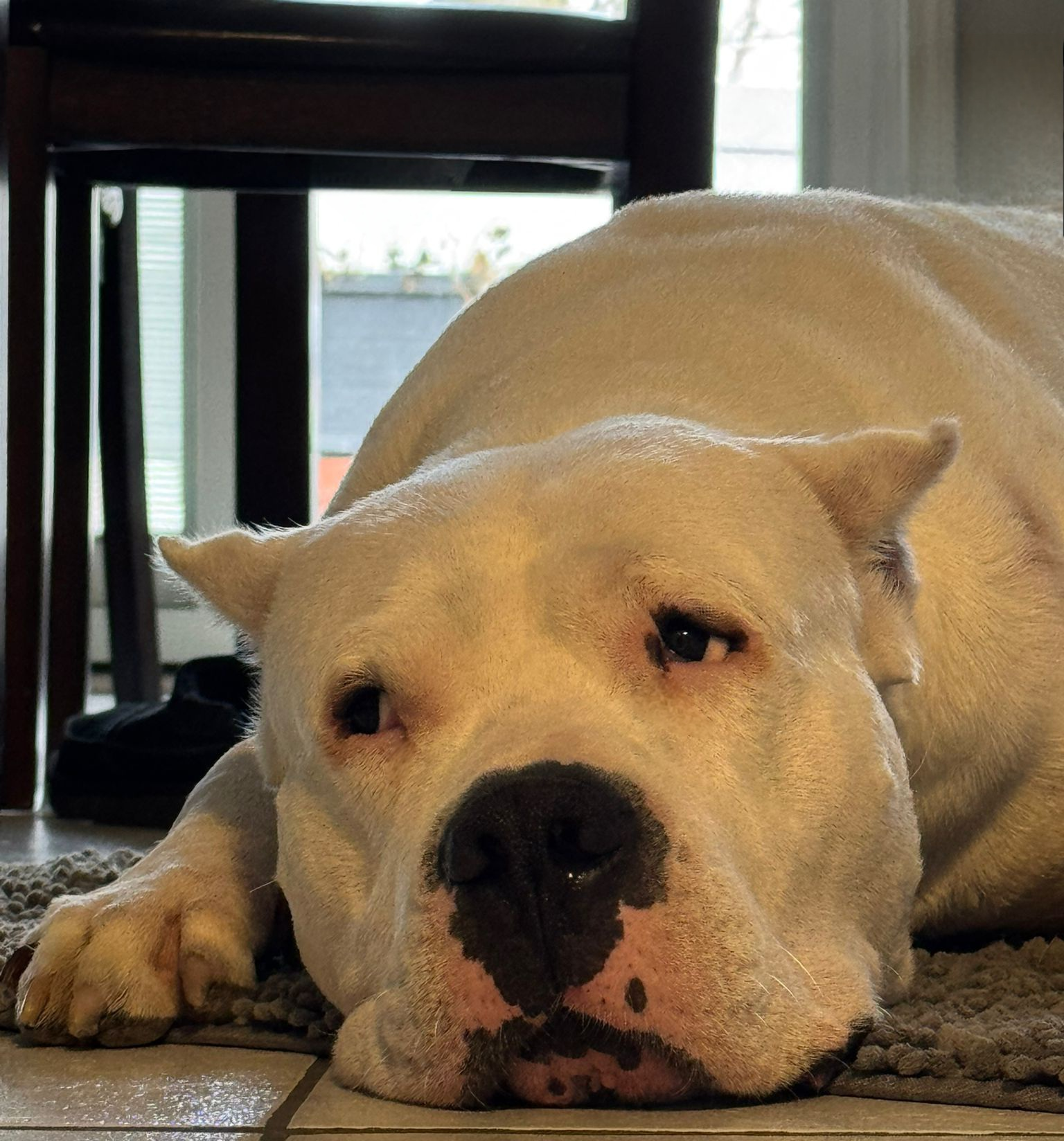 fermin.carrasco on One Bite Pizza App