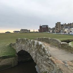 pizza1308 on One Bite Pizza App