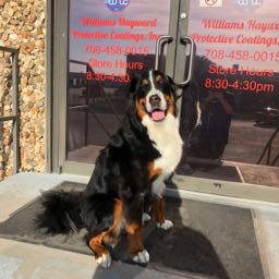 matthew.kurcz on One Bite Pizza App