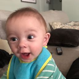 coco.gay on One Bite Pizza App