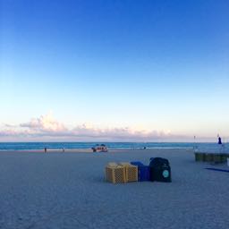 cleit20 on One Bite Pizza App