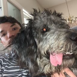 kyle.whitaker on One Bite Pizza App