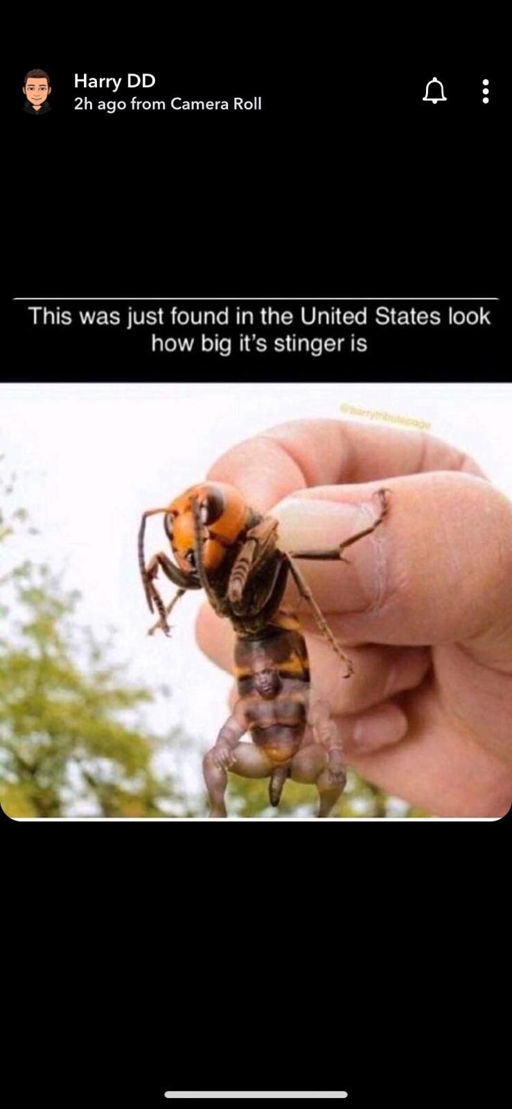 michael.reg on One Bite Pizza App