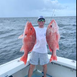 bmorano82 on One Bite Pizza App