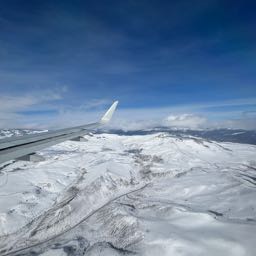 mikeloonam on One Bite Pizza App